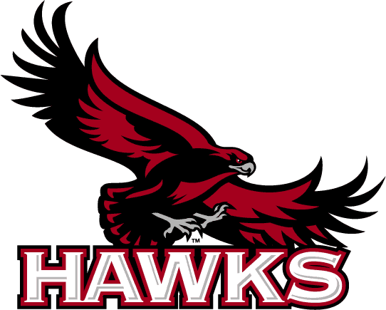 St. Joseph's Hawks 2001-Pres Primary Logo diy DTF decal sticker